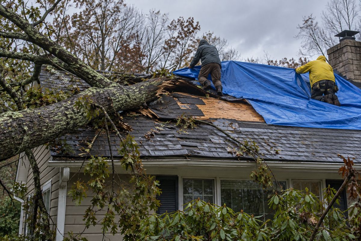 Fallen limb and torn shingles on a roof being covered with a blue tarp
